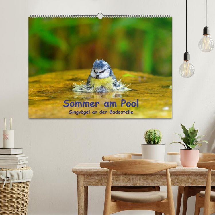 Produktbild: Sommer am Pool - Singv&ouml;gel an der Badestelle (Wandkalender 2026 DIN A2 quer), CALVENDO Monatskalender