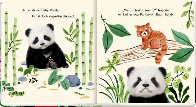 Produktbild: Meine erste Tierbaby-Geschichte: Kleiner Panda