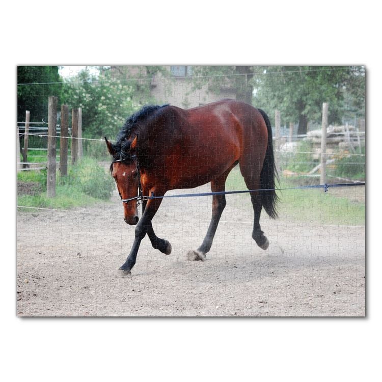 Produktbild: Lais Puzzle Pferd 1000 Teile