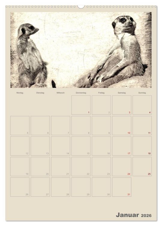 Produktbild: Lustige Erdm&auml;nnchen (Wandkalender 2026 DIN A2 hoch), CALVENDO Monatskalender