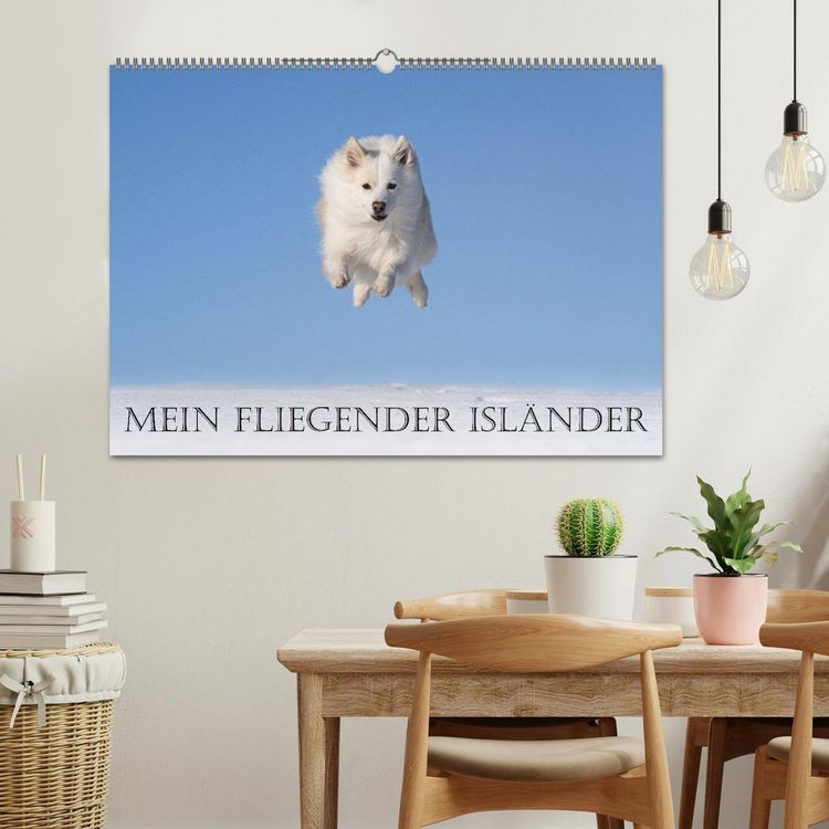 Produktbild: Mein fliegender Isl&auml;nder (Wandkalender 2026 DIN A2 quer), CALVENDO Monatskalender