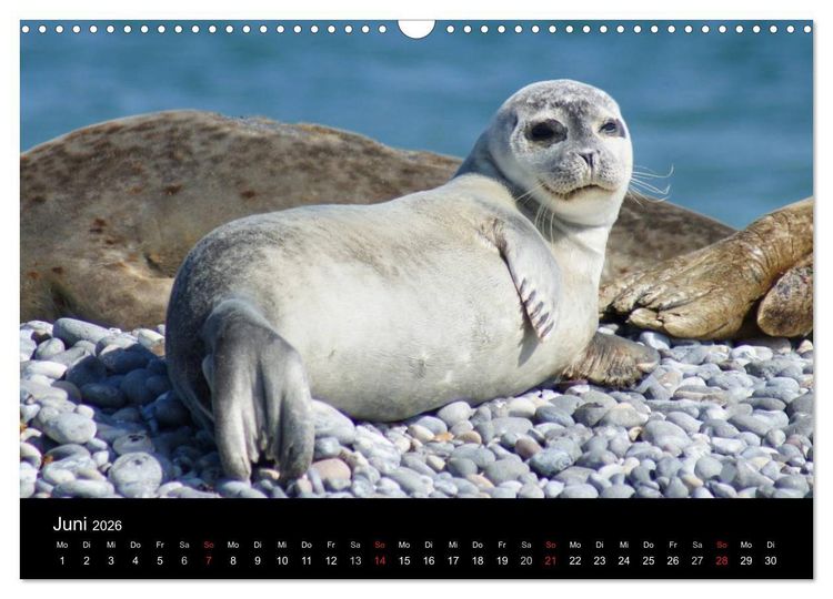 Produktbild: Hochseeeinsel Helgoland (Wandkalender 2026 DIN A3 quer), CALVENDO Monatskalender