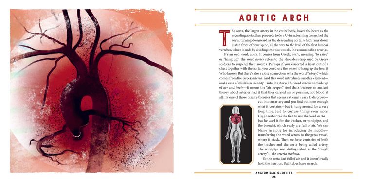 Produktbild: Anatomical Oddities