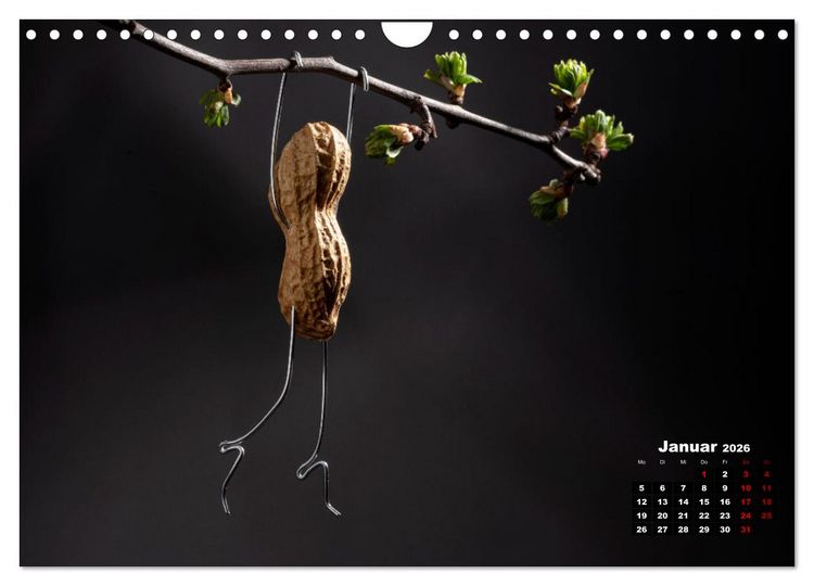 Produktbild: Erdnussm&auml;nnchen Geschichten. (Wandkalender 2026 DIN A4 quer), CALVENDO Monatskalender