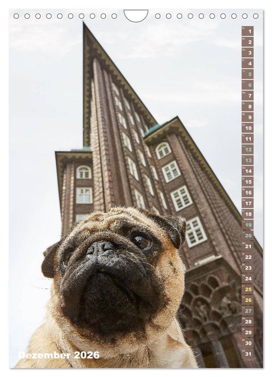 Produktbild: M&ouml;pse in Hamburg (Wandkalender 2026 DIN A4 hoch), CALVENDO Monatskalender