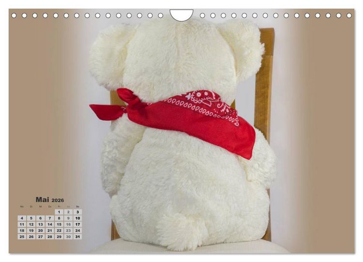 Produktbild: Teddys, wollen wir Kalender anschauen? (Wandkalender 2026 DIN A4 quer), CALVENDO Monatskalender