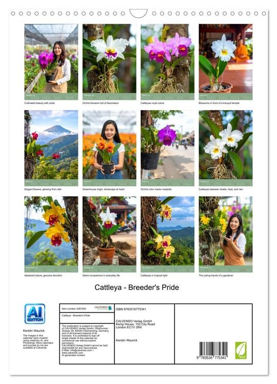 Produktbild: Cattleya - Breeder's Pride (Wall Calendar 2027 DIN A3 portrait), CALVENDO 12 Month Wall Calendar