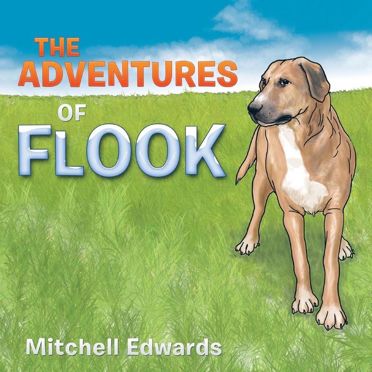 Produktbild: The Adventures Of Flook