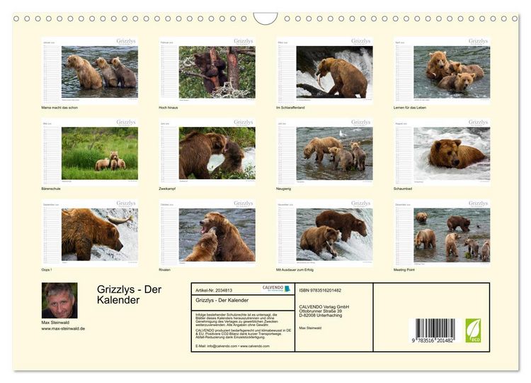 Produktbild: Grizzlys - Der Kalender (Wandkalender 2026 DIN A3 quer), CALVENDO Monatskalender