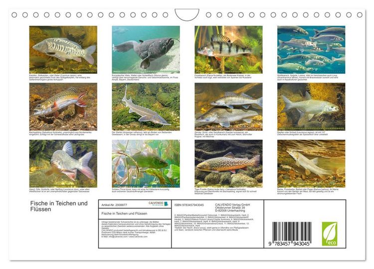 Produktbild: Fische in Teichen und Fl&uuml;ssen (Wandkalender 2026 DIN A4 quer), CALVENDO Monatskalender