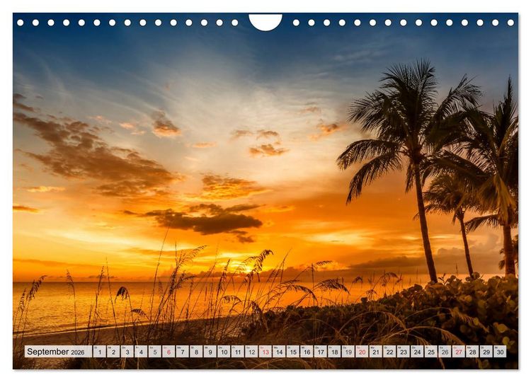 Produktbild: FLORIDA Paradiesischer Sonnenscheinstaat (Wandkalender 2026 DIN A4 quer), CALVENDO Monatskalender