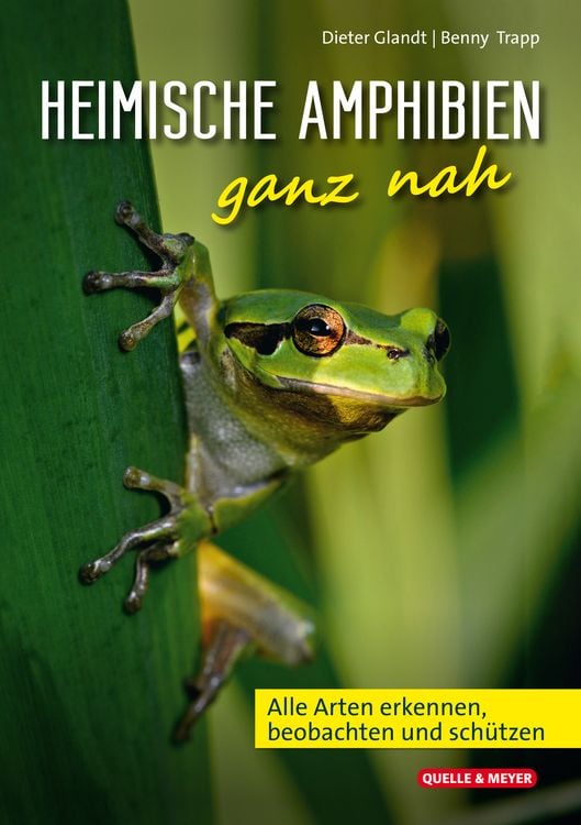 Produktbild: Heimische Amphibien ganz nah