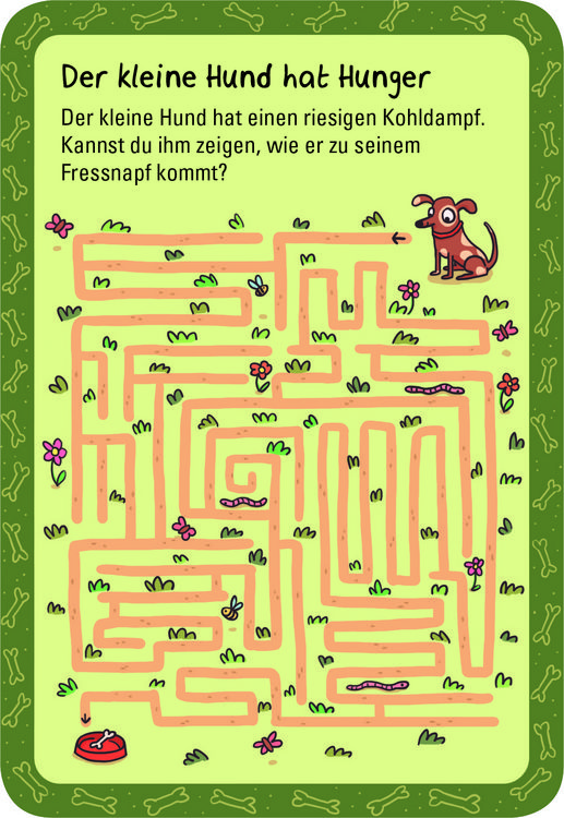 Produktbild: 50 verflixte Labyrinthe