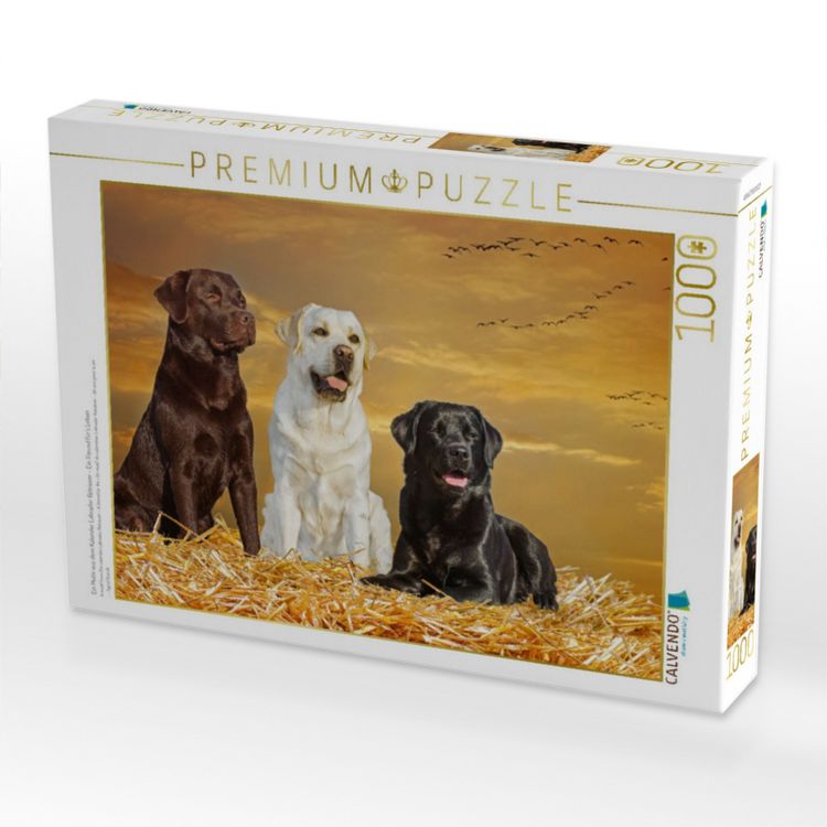 Produktbild: CALVENDO Puzzle Ein Motiv aus dem Kalender Labrador Retriever - Ein Freund f&uuml;r&acute;s Leben | 1000 Teile Lege-Gr&ouml;&szlig;e 64x48cm Foto-Puzzle f&uuml;r gl&uuml;ckliche Stun
