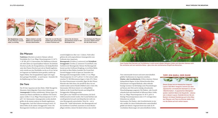 Produktbild: Aquascaping