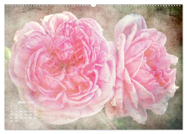 Produktbild: Rosen Romantik (Wandkalender 2026 DIN A2 quer), CALVENDO Monatskalender