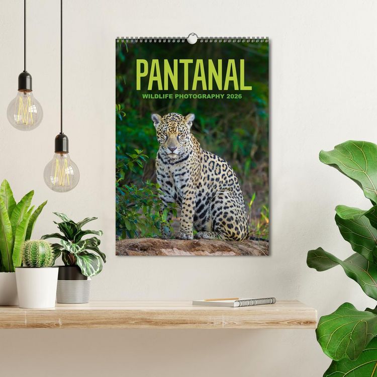 Produktbild: Pantanal Wildlife Photography (Wall Calendar 2026 DIN A3 portrait), CALVENDO 12 Month Wall Calendar