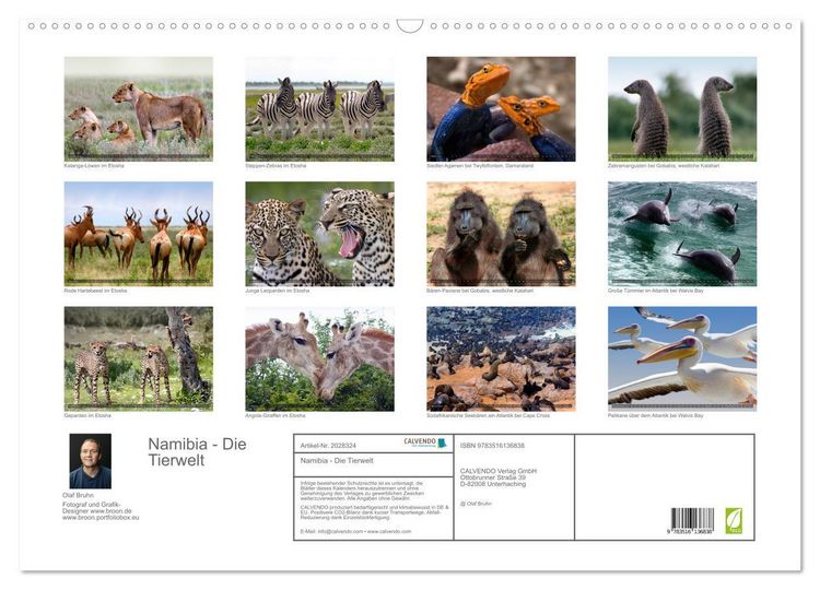 Produktbild: Namibia - Die Tierwelt (Wandkalender 2026 DIN A2 quer), CALVENDO Monatskalender