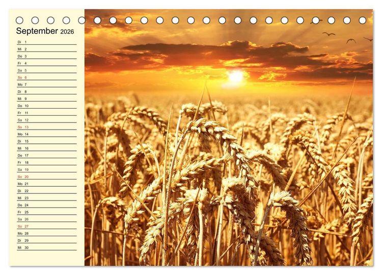 Produktbild: Bier. Die Kunst des Bierbrauens. Impressionen (Tischkalender 2026 DIN A5 quer), CALVENDO Monatskalender