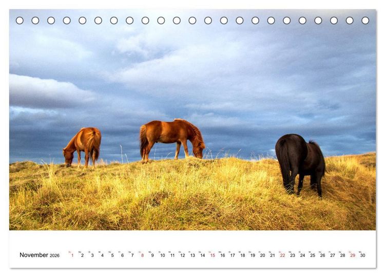 Produktbild: ISLAND Atemberaubende Natur aus Feuer und Eis (Tischkalender 2026 DIN A5 quer), CALVENDO Monatskalender