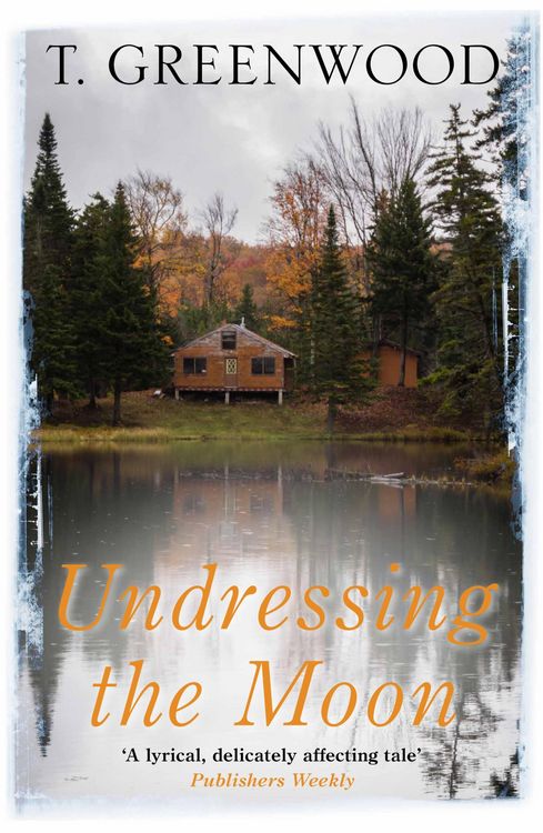 Produktbild: Undressing the Moon