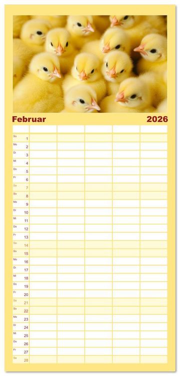 Produktbild: Familienplaner 2026 - Kuschelblicke mit 5 Spalten (Wandkalender, 21 x 45 cm) CALVENDO