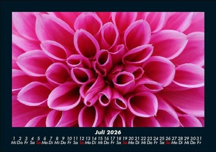 Produktbild: Blumentr&auml;ume 2026 Fotokalender DIN A5