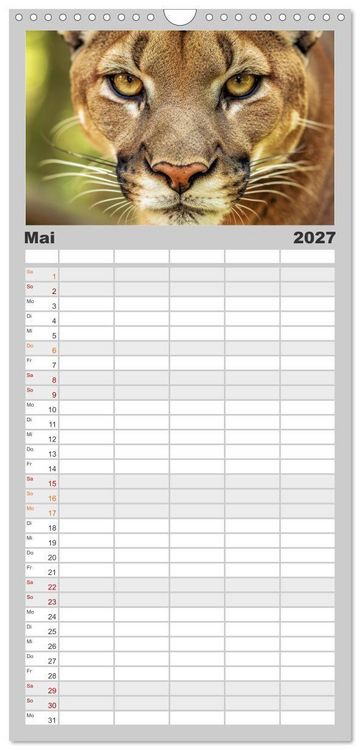Produktbild: Familienplaner 2027 - Die Augen der Wildnis mit 5 Spalten (Wandkalender, 21 x 45 cm) CALVENDO