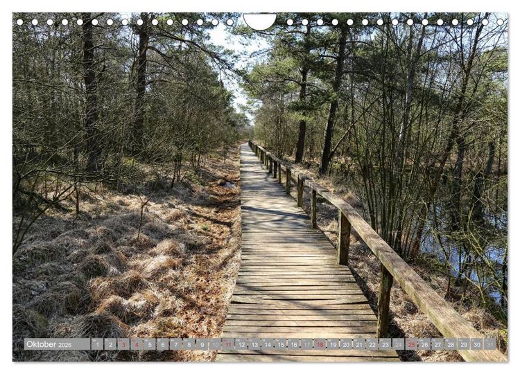 Produktbild: Pietzmoor - ein Hochmoor in der L&uuml;neburger Heide (Wandkalender 2026 DIN A4 quer), CALVENDO Monatskalender