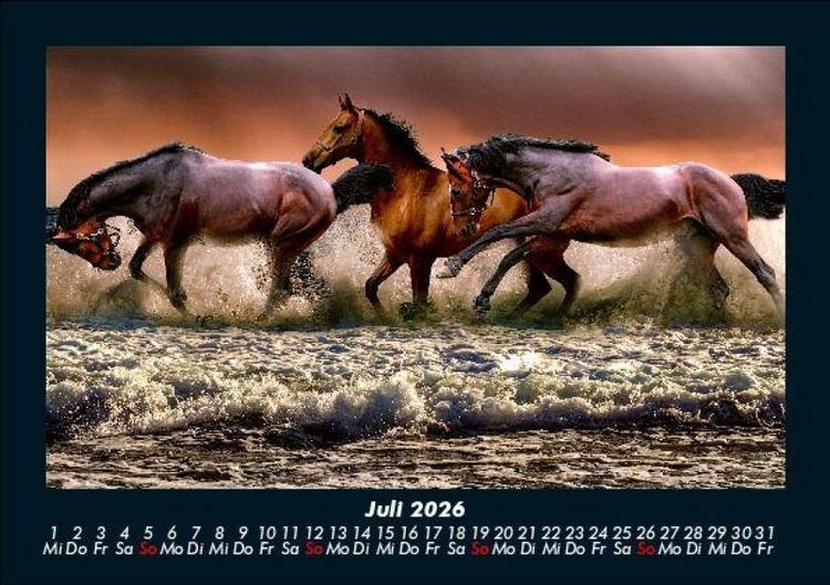 Produktbild: Die Welt der Pferde 2026 Fotokalender DIN A5