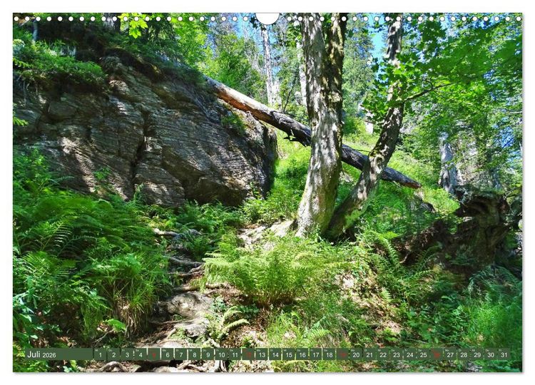 Produktbild: Wandererlebnisse im Bayrischen Wald (Wandkalender 2026 DIN A3 quer), CALVENDO Monatskalender