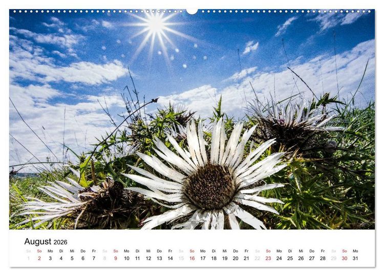 Produktbild: Naturerlebnis im Biosph&auml;renreservat Rh&ouml;n (Wandkalender 2026 DIN A2 quer), CALVENDO Monatskalender