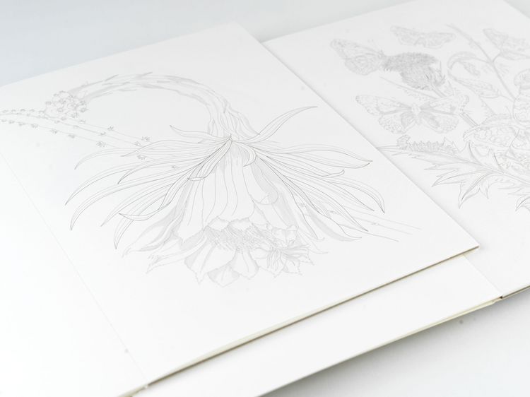 Produktbild: Natural History