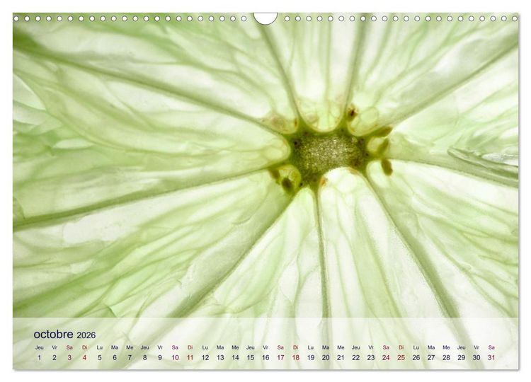 Produktbild: C&oelig;ur de fruits c&oelig;ur de l&eacute;gumes (Calendrier mural 2026 DIN A3 vertical), CALVENDO calendrier mensuel