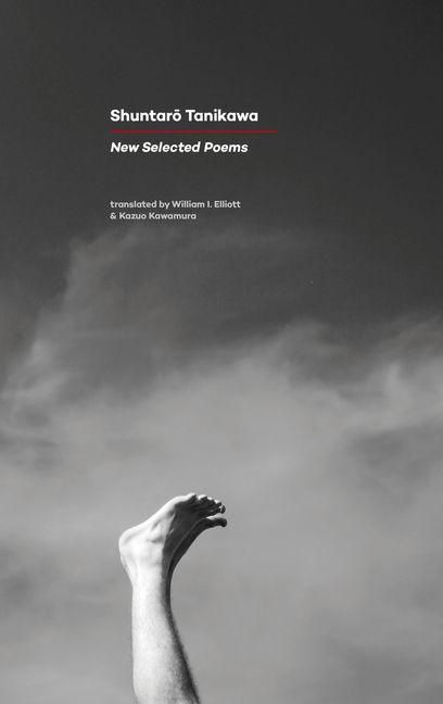 Produktbild: New Selected Poems