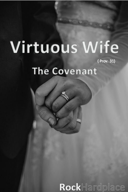 Produktbild: Virtuous Wife: The Covenant