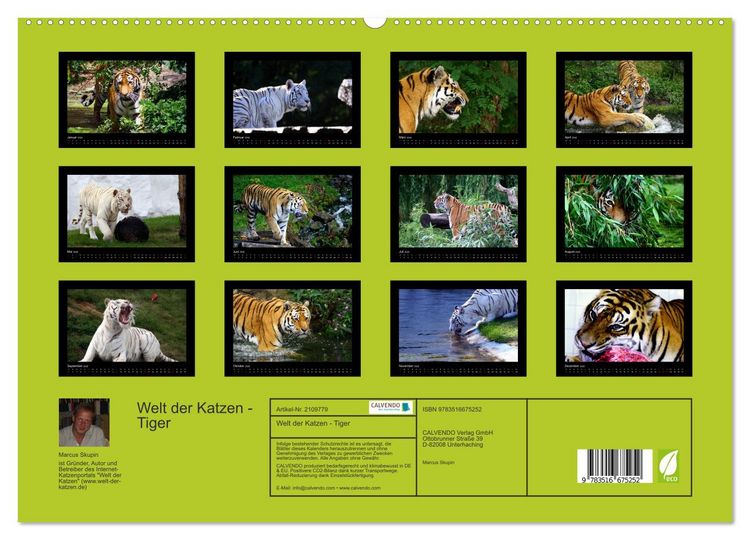 Produktbild: Welt der Katzen - Tiger (hochwertiger Premium Wandkalender 2026 DIN A2 quer), Kunstdruck in Hochglanz