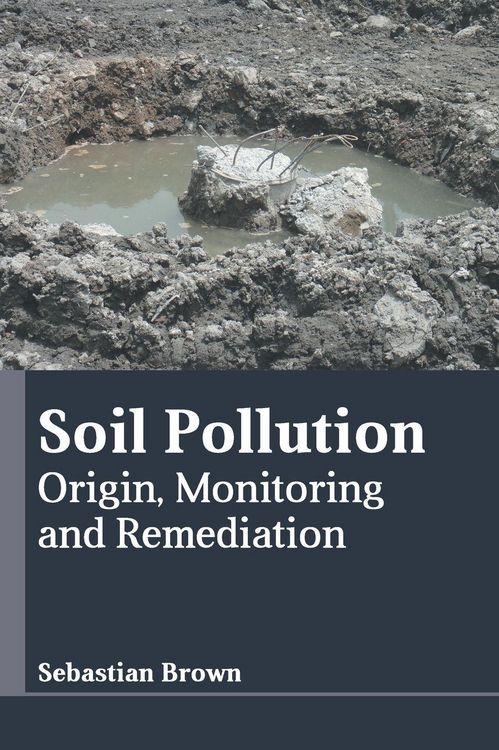 Produktbild: Soil Pollution: Origin, Monitoring and Remediation
