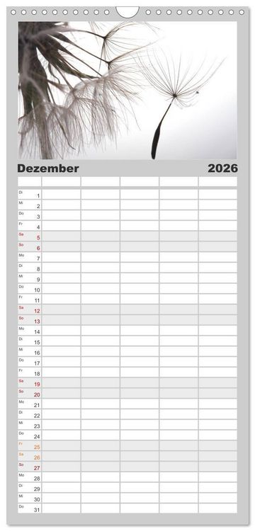 Produktbild: Familienplaner 2026 - Filigrane Pusteblumen / Geburtstagskalender mit 5 Spalten (Wandkalender, 21 x 45 cm) CALVENDO