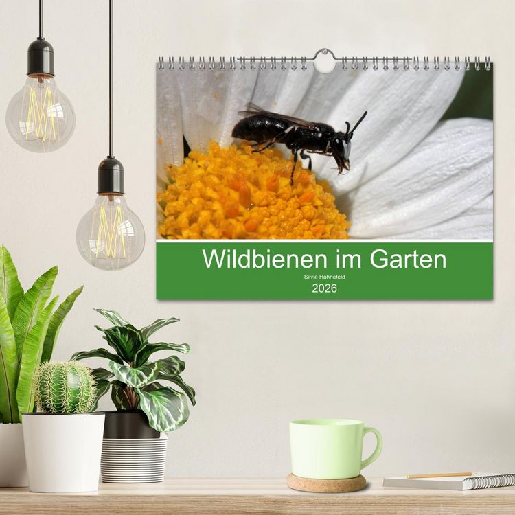 Produktbild: Wildbienen im Garten (Wandkalender 2026 DIN A4 quer), CALVENDO Monatskalender