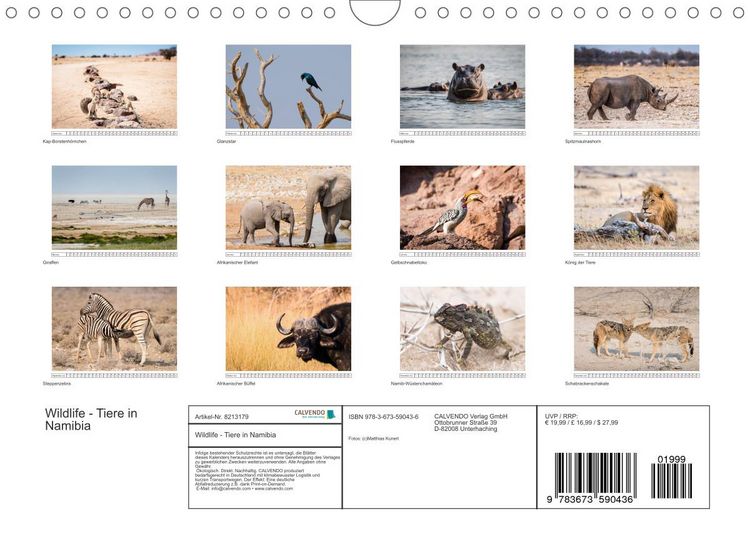 Produktbild: Wildlife - Tiere in Namibia (Wandkalender 2022 DIN A4 quer)