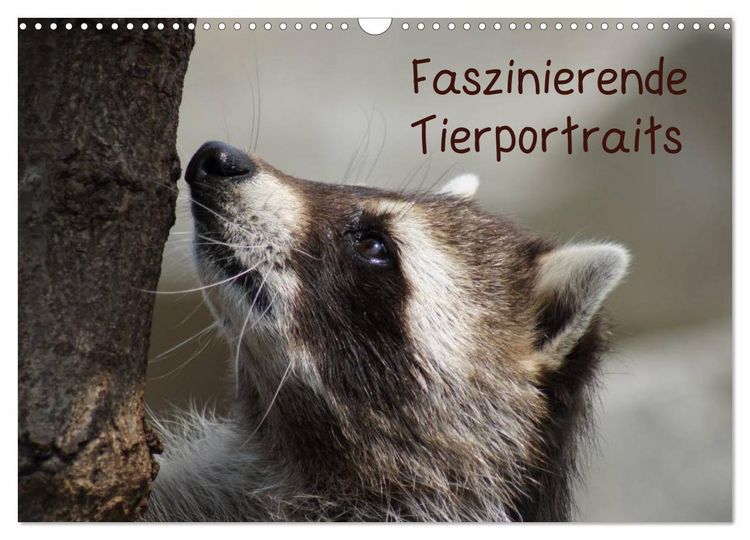 Produktbild: Faszinierende Tierportraits (Wandkalender 2026 DIN A3 quer), CALVENDO Monatskalender
