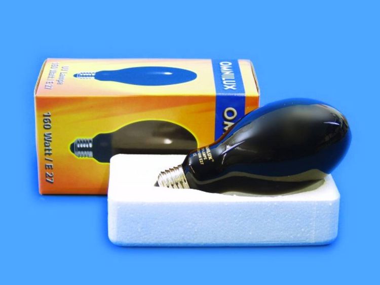 Produktbild: Omnilux 89513005 UV-Lampe E27 160W