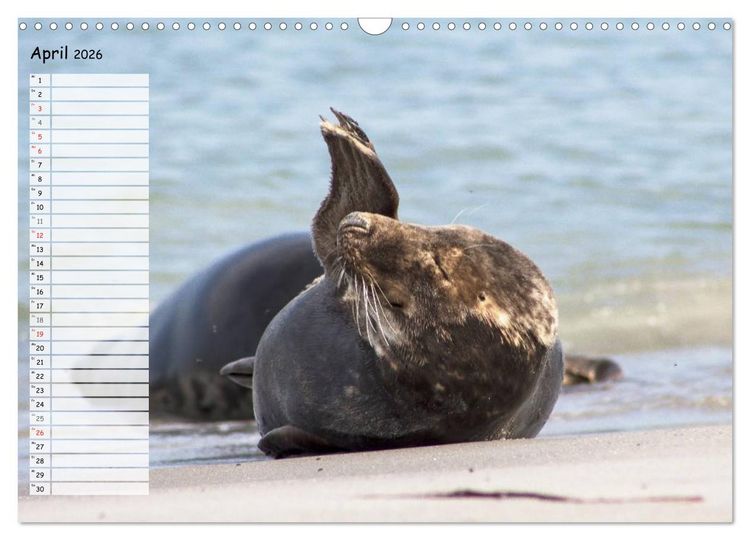 Produktbild: Helgoland - idyllische Nordseeinsel (Wandkalender 2026 DIN A3 quer), CALVENDO Monatskalender
