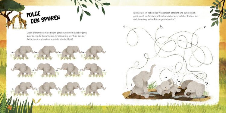 Produktbild: Kleine Tiere werden gro&szlig; - Der Elefant