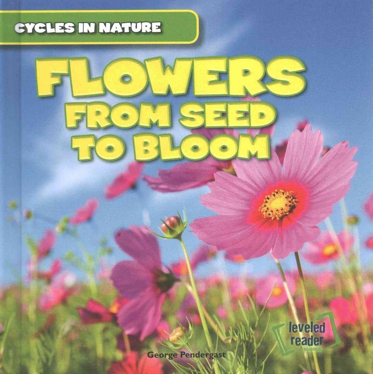 Produktbild: Cycles in Nature Flowers