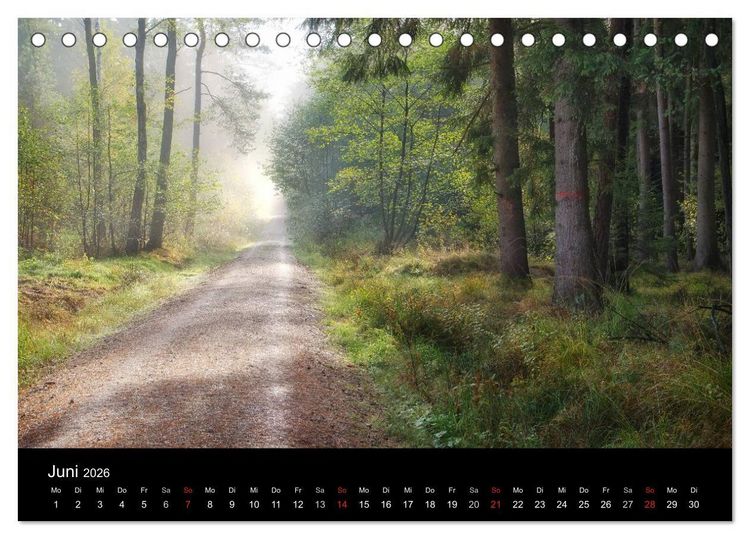 Produktbild: Waldkalender (Tischkalender 2026 DIN A5 quer), CALVENDO Monatskalender