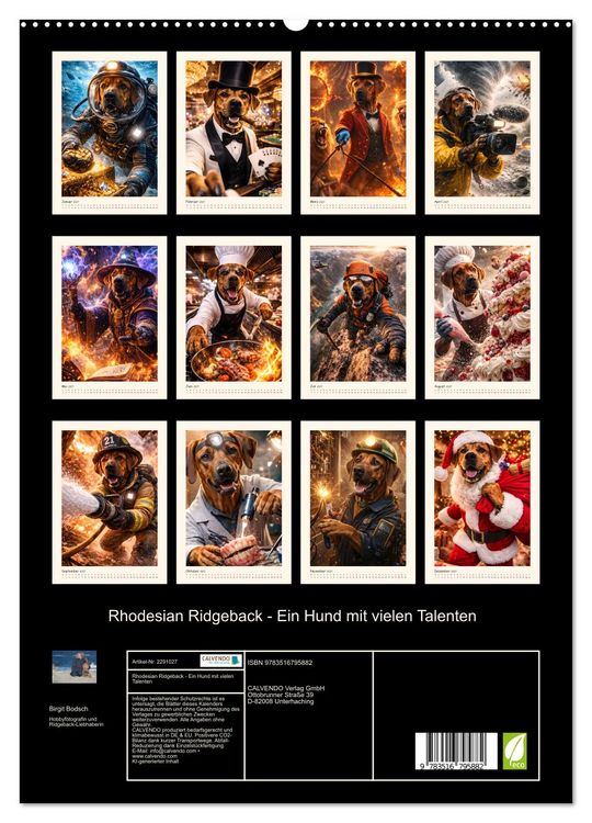 Produktbild: Rhodesian Ridgeback - Ein Hund mit vielen Talenten (hochwertiger Premium Wandkalender 2027 DIN A2 hoch), Kunstdruck in Hochglanz