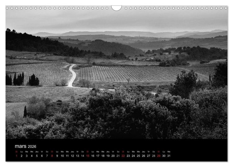 Produktbild: VIGNES DU SUD terroirs d'AOC (Calendrier mural 2026 DIN A3 vertical), CALVENDO calendrier mensuel