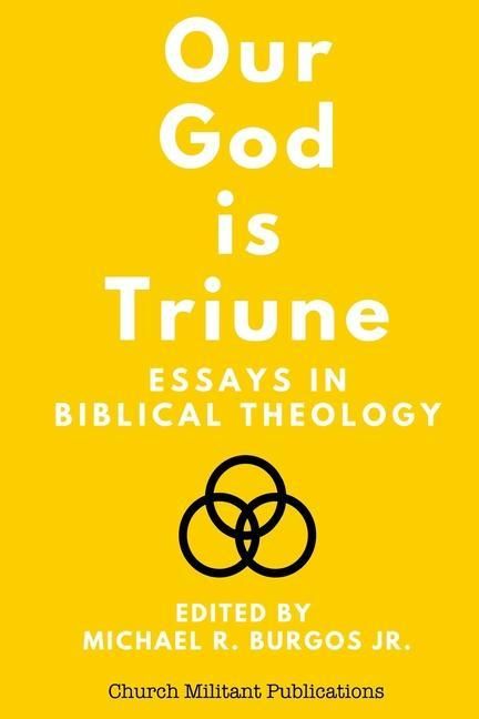 Produktbild: Our God is Triune: Essays in Biblical Theology